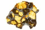 Polished Imilac Pallasite Meteorite ( g) Slice #334658-1